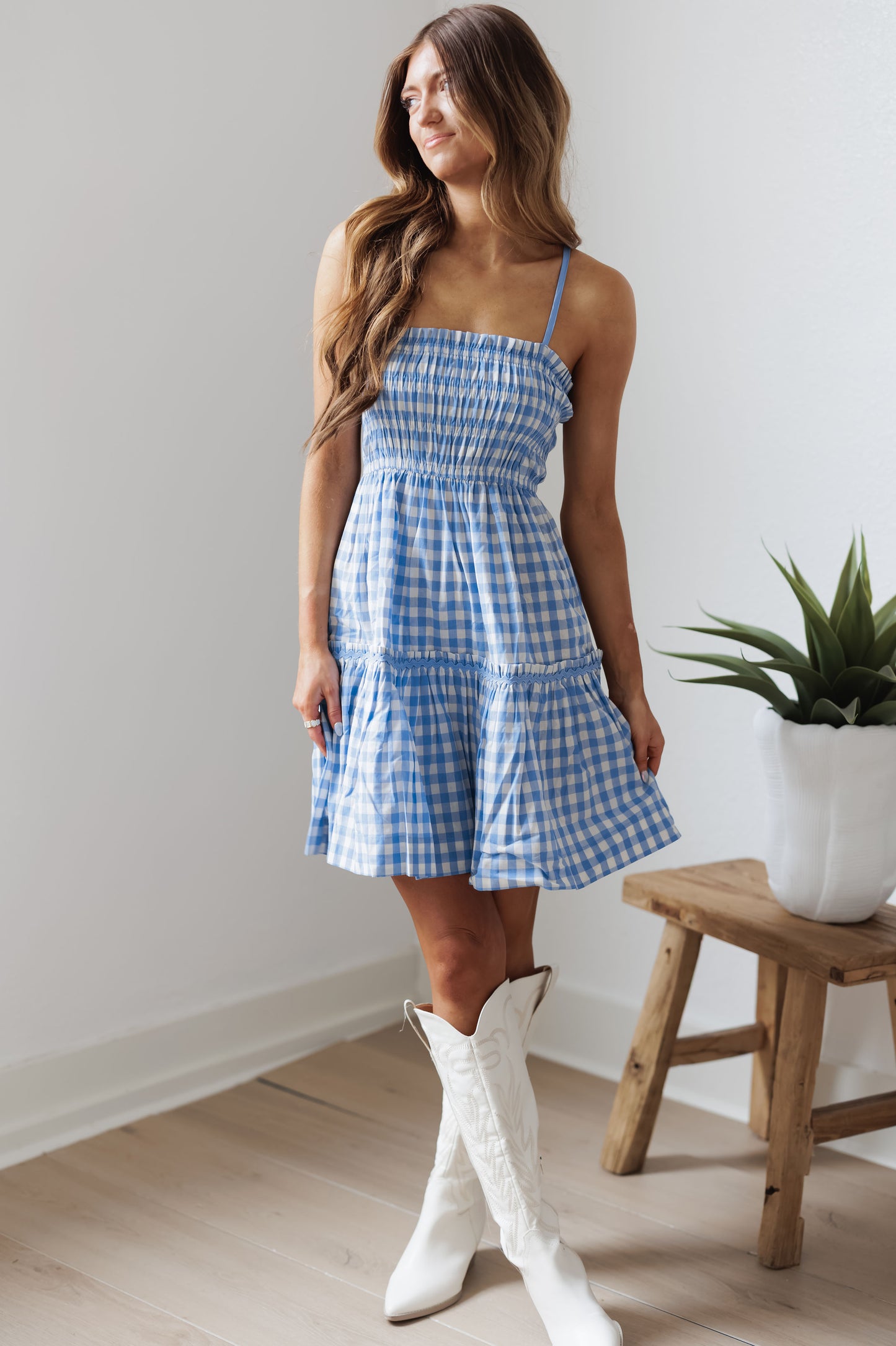 Day Date Dress-Blue/White Gingham
